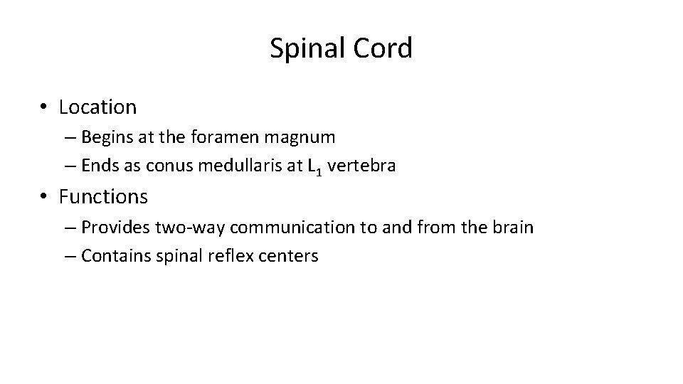 Spinal Cord • Location – Begins at the foramen magnum – Ends as conus