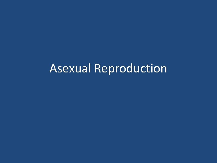 Asexual Reproduction 