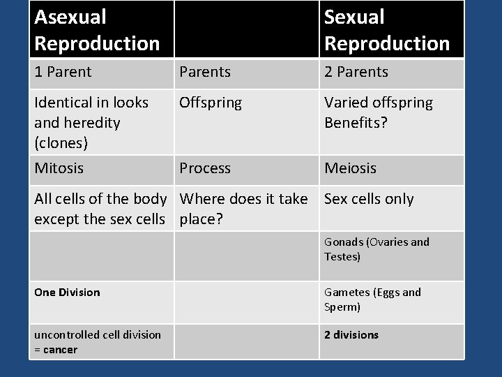Asexual Reproduction Sexual Reproduction 1 Parents 2 Parents Identical in looks and heredity (clones)