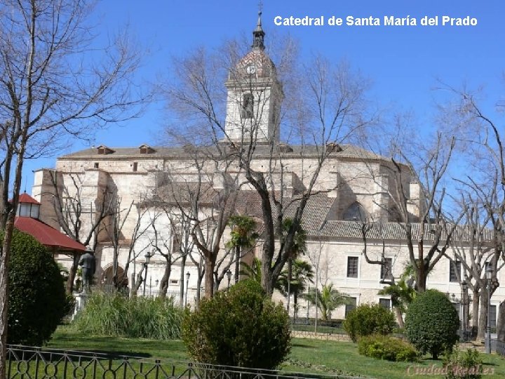 Catedral de Santa María del Prado 