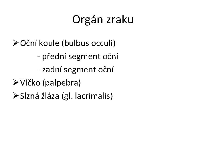 Orgán zraku Ø Oční koule (bulbus occuli) - přední segment oční - zadní segment