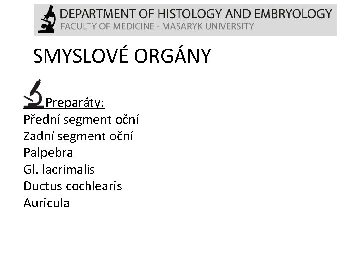 SMYSLOVÉ ORGÁNY Preparáty: Přední segment oční Zadní segment oční Palpebra Gl. lacrimalis Ductus cochlearis