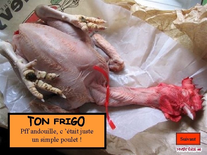 Pff andouille, c ’était juste un simple poulet ! Suivant 
