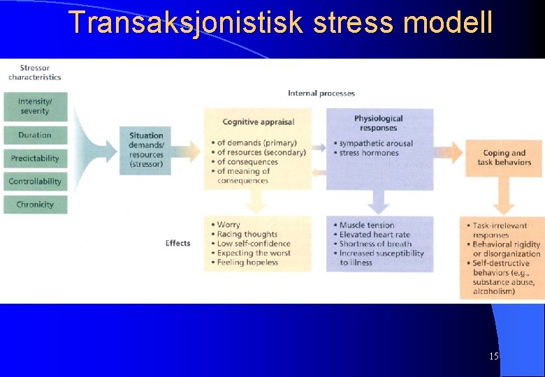 Transaksjonistisk stress modell 15 