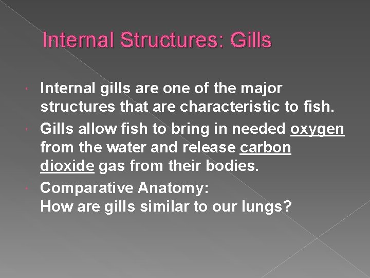 Internal Structures: Gills Internal gills are one of the major structures that are characteristic