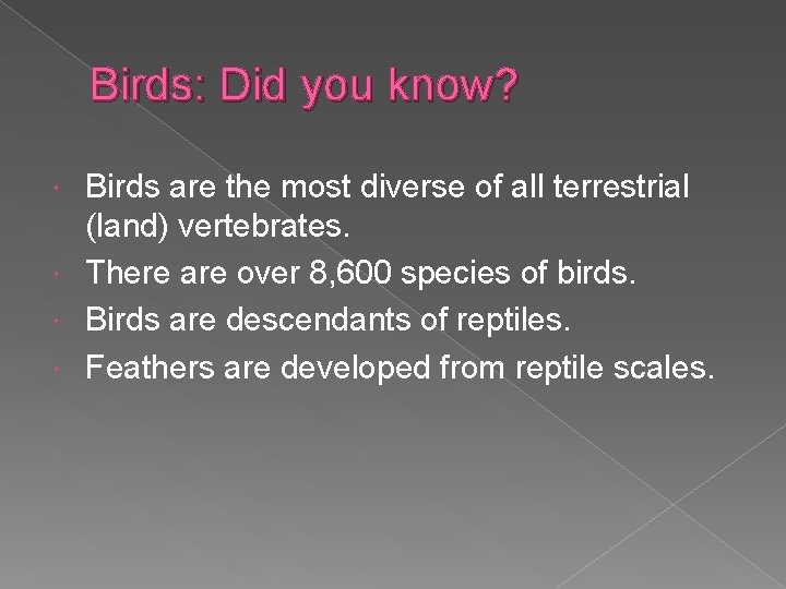 Birds: Did you know? Birds are the most diverse of all terrestrial (land) vertebrates.