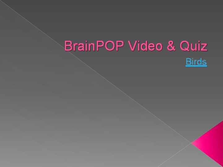Brain. POP Video & Quiz Birds Brain. POP Video & Quiz Birds