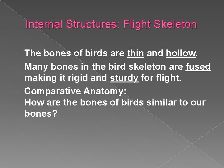 Internal Structures: Flight Skeleton The bones of birds are thin and hollow. Many bones