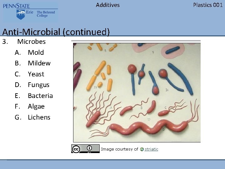 Additives Anti-Microbial (continued) 3. Microbes A. Mold B. Mildew C. Yeast D. Fungus E.