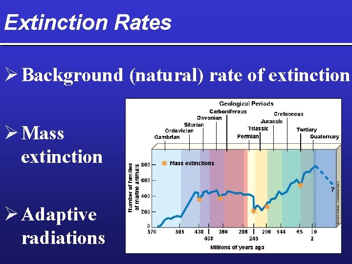 Extinction Rates Ø Background (natural) rate of extinction Ø Mass extinction Ø Adaptive radiations