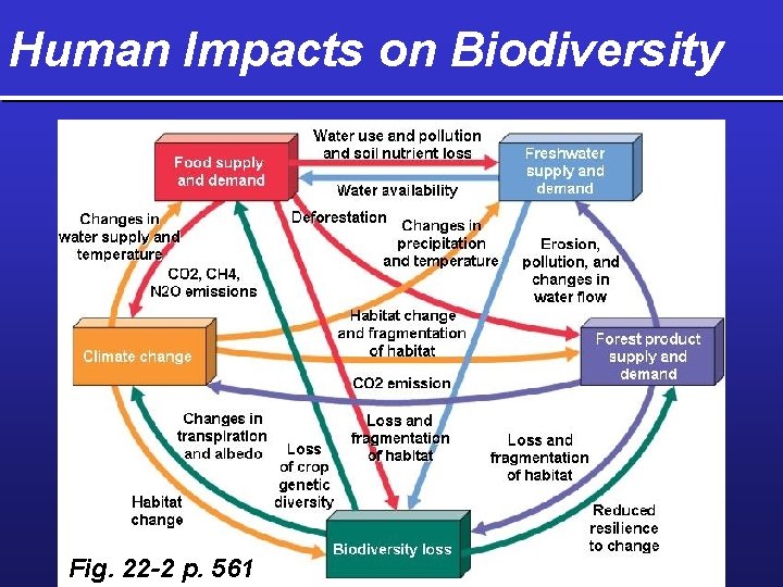 Human Impacts on Biodiversity Fig. 22 -2 p. 561 