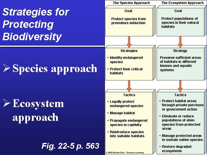 Strategies for Protecting Biodiversity Ø Species approach Ø Ecosystem approach Fig. 22 -5 p.