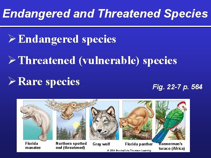 Endangered and Threatened Species Ø Endangered species Ø Threatened (vulnerable) species Ø Rare species