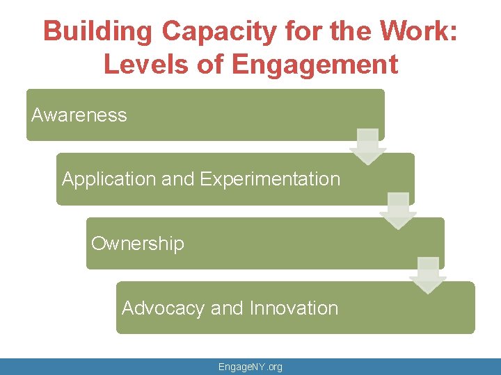 Building Capacity for the Work: Levels of Engagement Awareness Application and Experimentation Ownership Advocacy