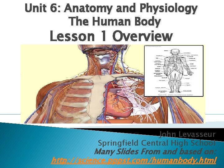 Unit 6: Anatomy and Physiology The Human Body Lesson 1 Overview John Levasseur Springfield