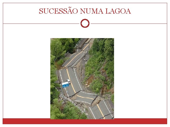 SUCESSÃO NUMA LAGOA 