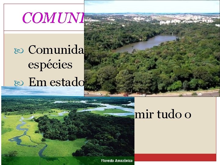 COMUNIDADES CLIMÁX Comunidade com muitas espécies Em estado de “equilíbrio” com o meio Estável