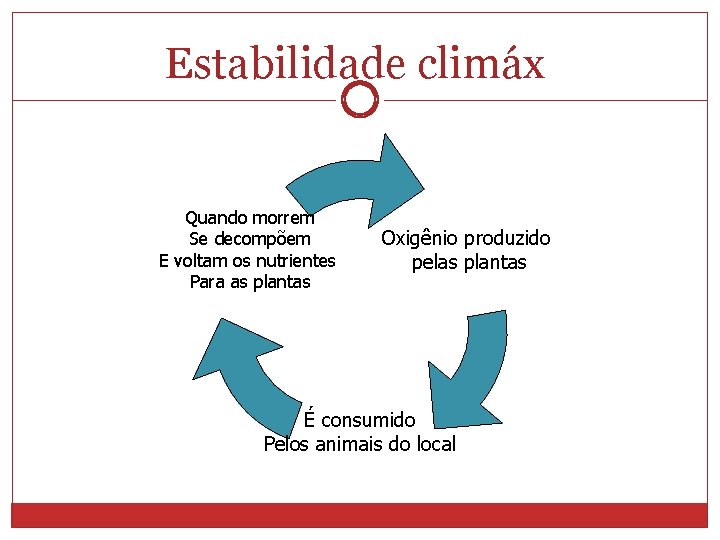 Estabilidade climáx Quando morrem Se decompõem E voltam os nutrientes Para as plantas Oxigênio