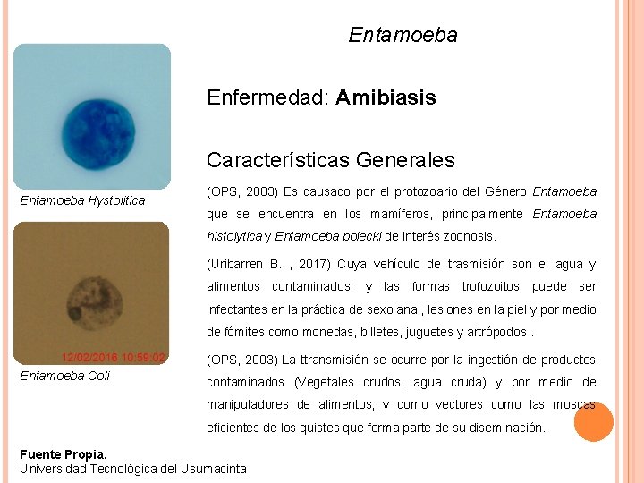 Entamoeba Enfermedad: Amibiasis Características Generales Entamoeba Hystolitica (OPS, 2003) Es causado por el protozoario