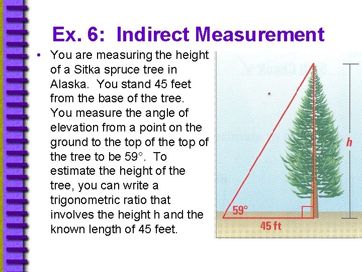 Ex. 6: Indirect Measurement • You are measuring the height of a Sitka spruce