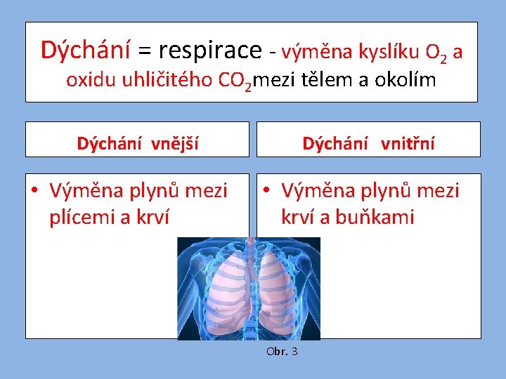 Dýchání = respirace - výměna kyslíku O 2 a oxidu uhličitého CO 2 mezi