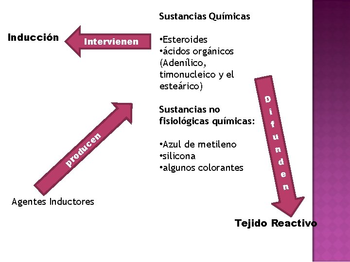 Sustancias Químicas Inducción Intervienen • Esteroides • ácidos orgánicos (Adenílico, timonucleico y el esteárico)