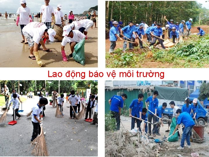 Lao động bảo vệ môi trường 