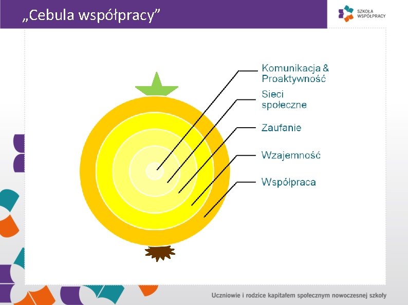 „Cebula współpracy” Cebula współpracy 