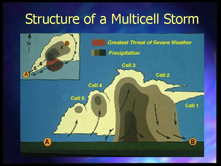 Structure of a Multicell Storm 