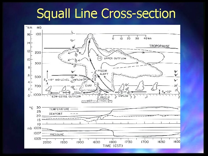 Squall Line Cross-section 