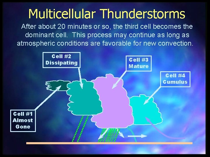 Multicellular Thunderstorms After about 20 minutes or so, the third cell becomes the dominant