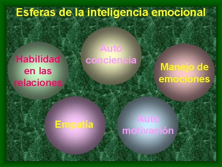 Esferas de la inteligencia emocional Habilidad en las relaciones Auto conciencia Empatía Manejo de