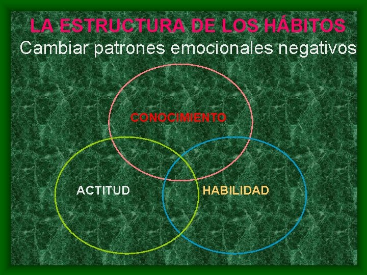 LA ESTRUCTURA DE LOS HÁBITOS Cambiar patrones emocionales negativos CONOCIMIENTO ACTITUD HABILIDAD 