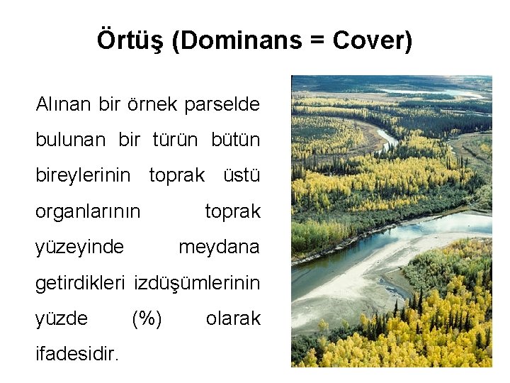 Örtüş (Dominans = Cover) Alınan bir örnek parselde bulunan bir türün bütün bireylerinin toprak Örtüş (Dominans = Cover) Alınan bir örnek parselde bulunan bir türün bütün bireylerinin toprak
