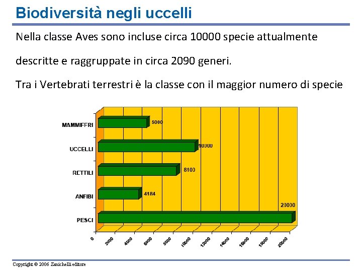 Biodiversità negli uccelli Nella classe Aves sono incluse circa 10000 specie attualmente descritte e