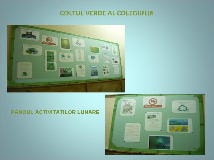 COLTUL VERDE AL COLEGIULUI PANOUL ACTIVITATILOR LUNARE 