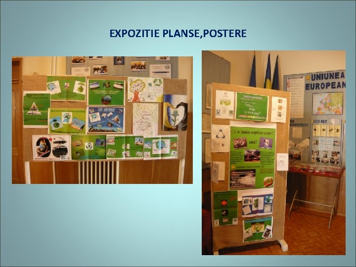 EXPOZITIE PLANSE, POSTERE 