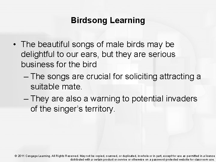 Birdsong Learning • The beautiful songs of male birds may be delightful to our