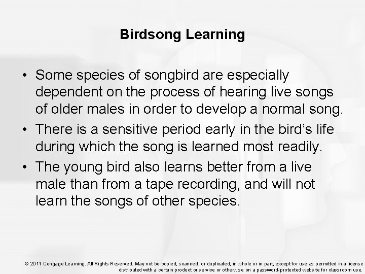 Birdsong Learning • Some species of songbird are especially dependent on the process of