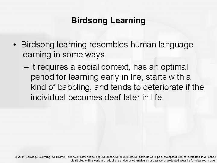Birdsong Learning • Birdsong learning resembles human language learning in some ways. – It