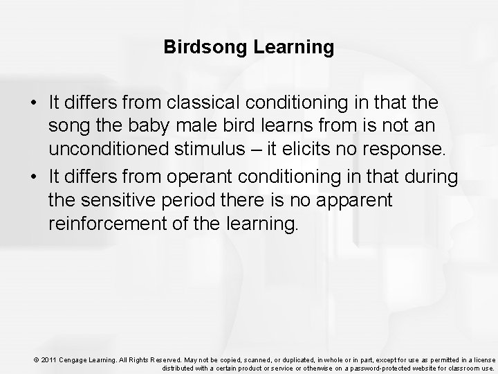 Birdsong Learning • It differs from classical conditioning in that the song the baby