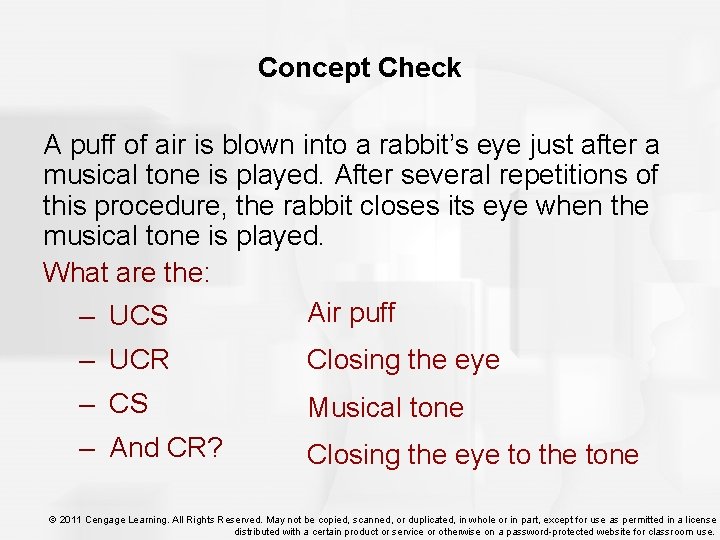 Concept Check A puff of air is blown into a rabbit’s eye just after