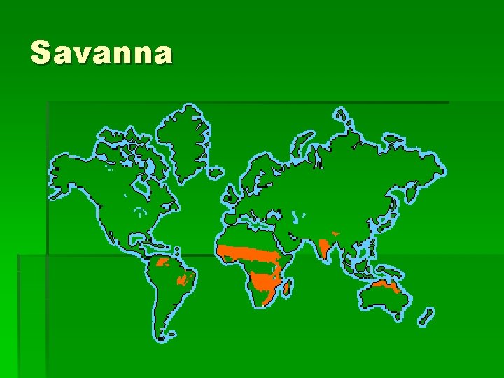 Savanna 