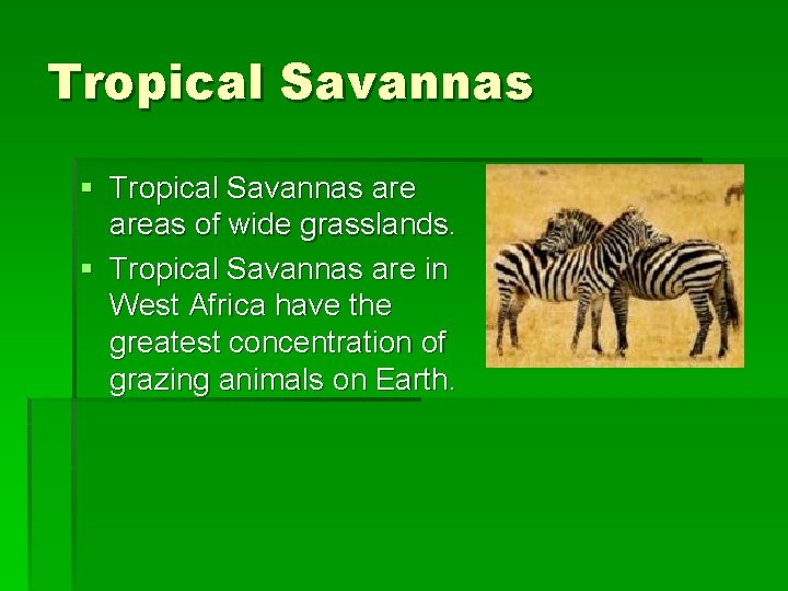 Tropical Savannas § Tropical Savannas areas of wide grasslands. § Tropical Savannas are in