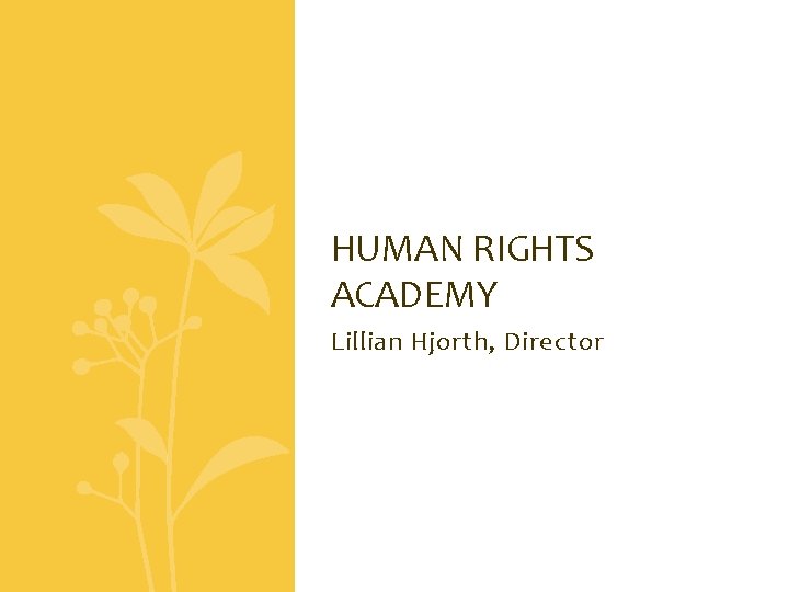 HUMAN RIGHTS ACADEMY Lillian Hjorth, Director 