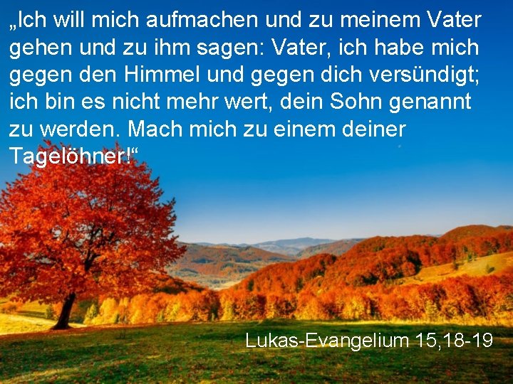 „Ich will mich aufmachen und zu meinem Vater gehen und zu ihm sagen: Vater,