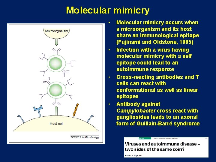 Molecular mimicry • • Molecular mimicry occurs when a microorganism and its host share Molecular mimicry • • Molecular mimicry occurs when a microorganism and its host share