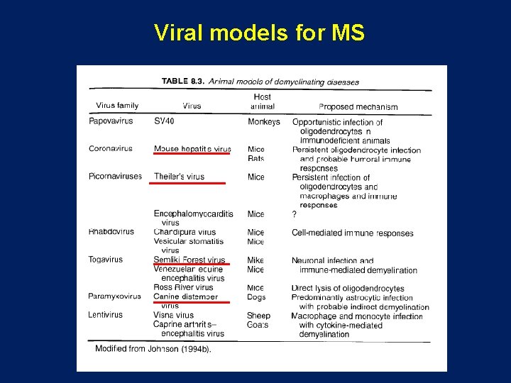 Viral models for MS Viral models for MS