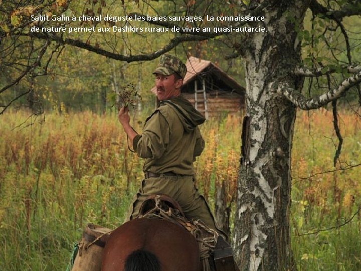 Sabit Galin à cheval déguste les baies sauvages. La connaissance de nature permet aux
