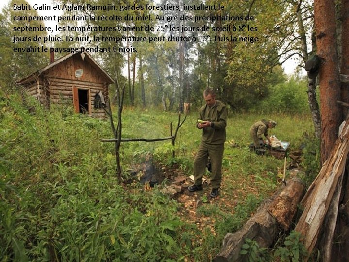 Sabit Galin et Aglam Ramujin, gardes forestiers, installent le campement pendant la récolte du